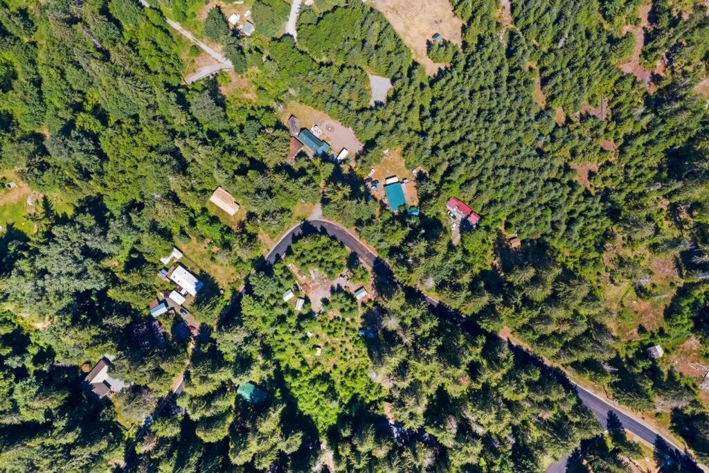 New Tiny Home Steps Away From Mt. Rainier Ashford Esterno foto